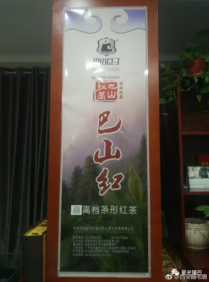 十大紫阳富硒茶产地排名