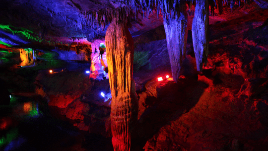 池州仙寓山富硒野茶怎样