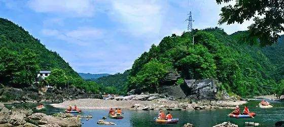 池州仙寓山富硒野茶怎样