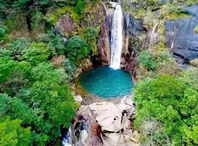 池州仙寓山富硒野茶怎样