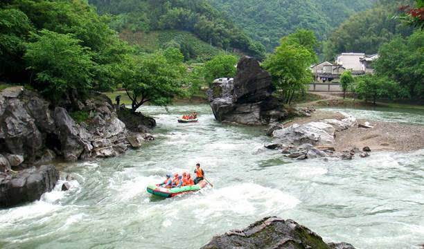 池州仙寓山富硒野茶怎样