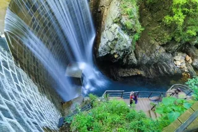 池州仙寓山富硒野茶怎样