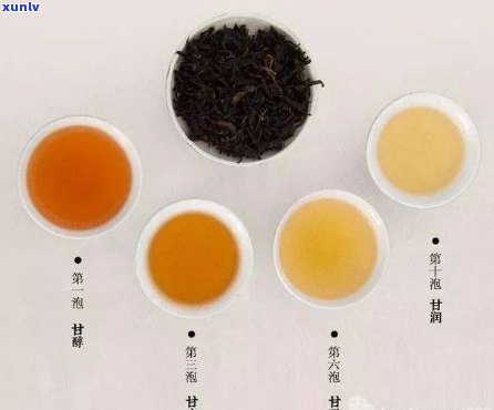 新 普洱茶的分类及其与红茶的区别：一种全面的视角