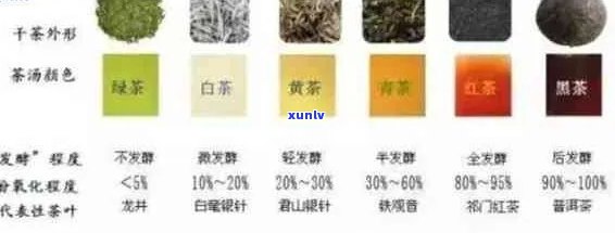 新 普洱茶的分类及其与红茶的区别：一种全面的视角