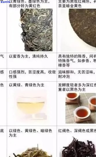 新 普洱茶的分类及其与红茶的区别：一种全面的视角