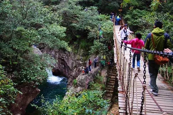 仙寓山富硒野生茶多少钱