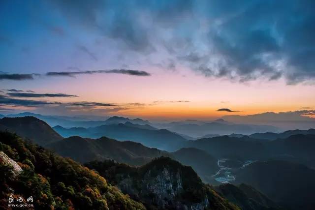 仙寓山富硒野生茶多少钱