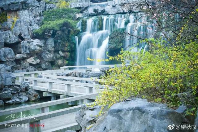 仙寓山富硒野生茶多少钱