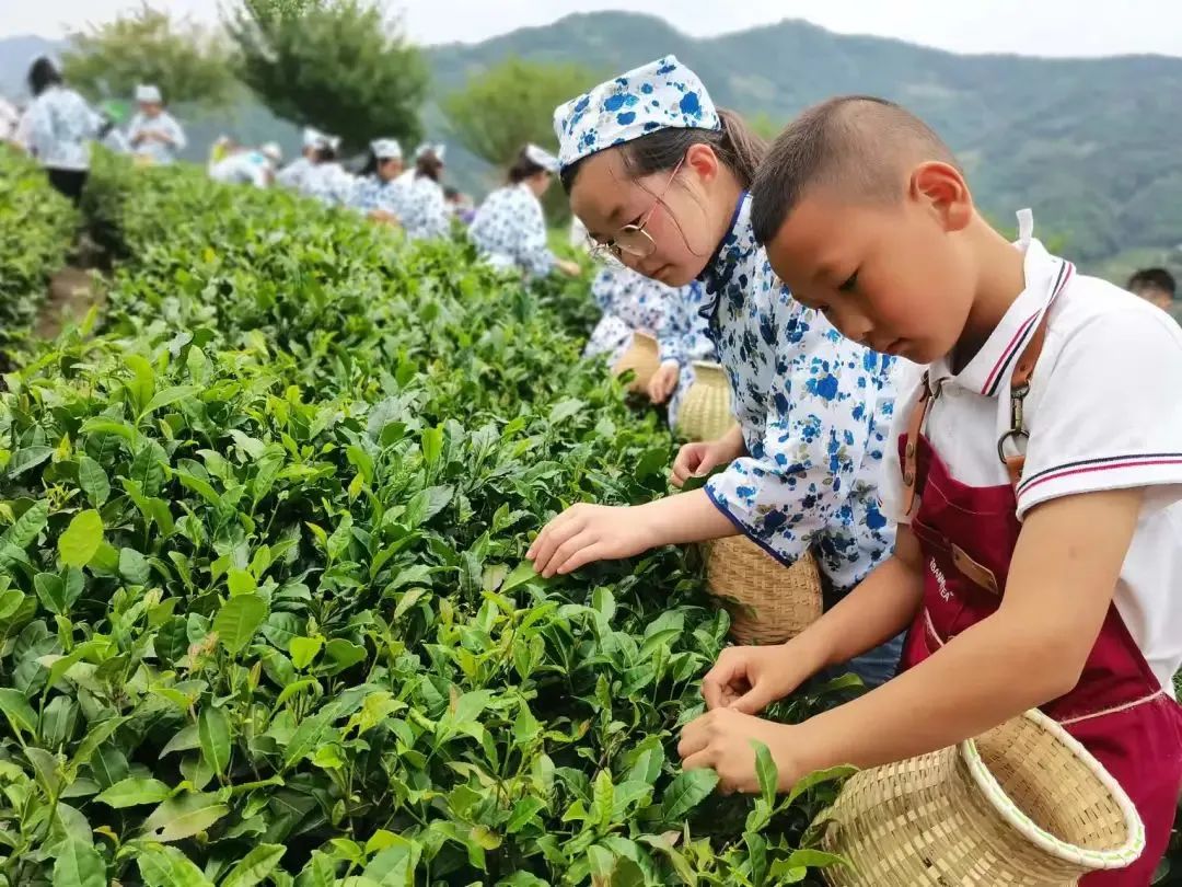 紫阳富硒茶陶博物馆美篇