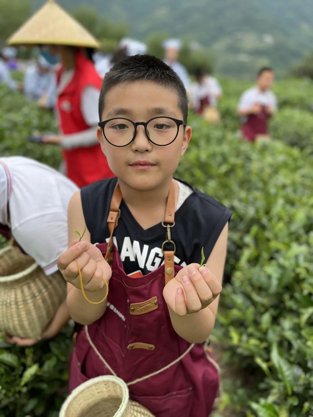 紫阳富硒茶陶博物馆美篇