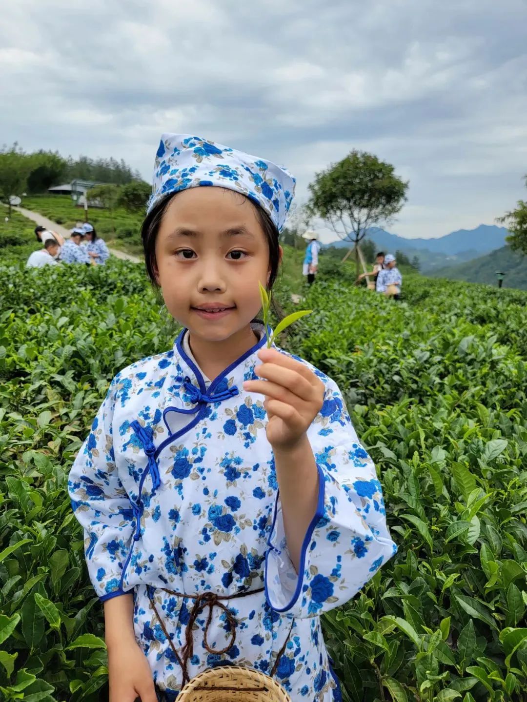 紫阳富硒茶陶博物馆美篇