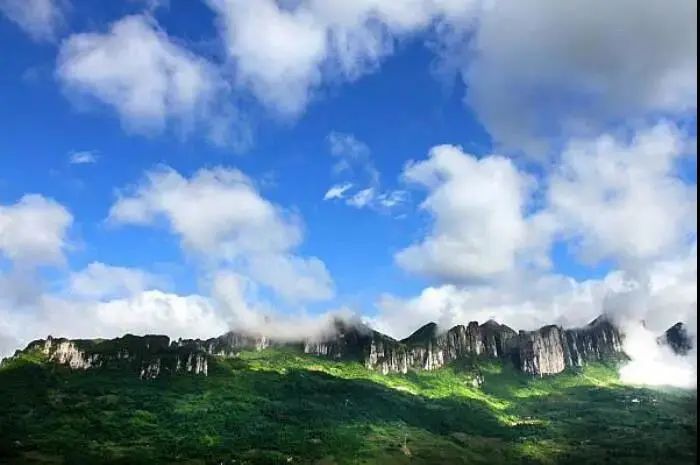 大峡谷富硒茶价格多少钱