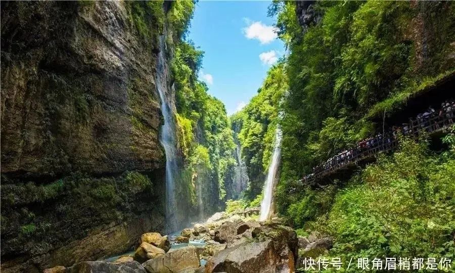 大峡谷富硒茶价格多少钱