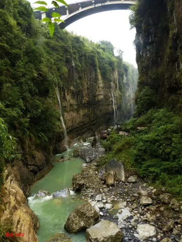 大峡谷富硒茶价格多少钱