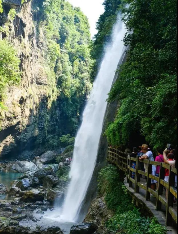 大峡谷富硒茶价格多少钱