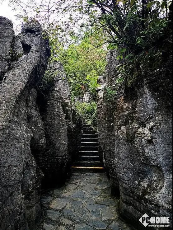 大峡谷富硒茶价格多少钱