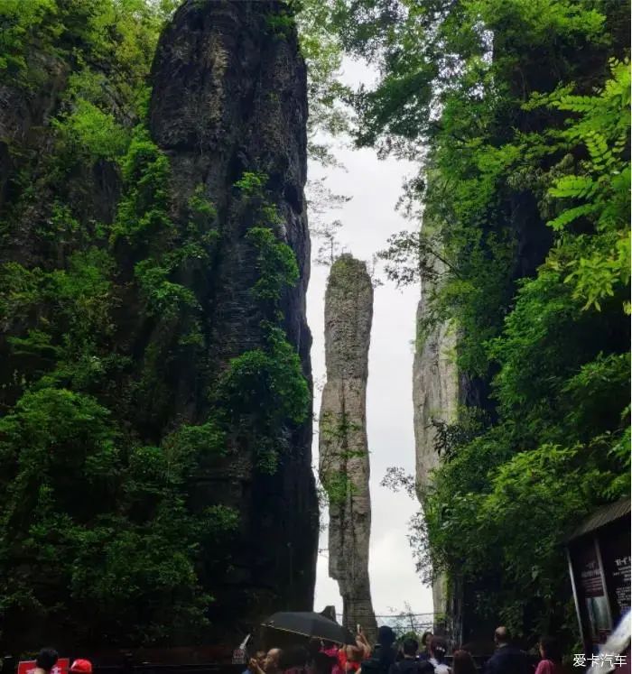 大峡谷富硒茶价格多少钱