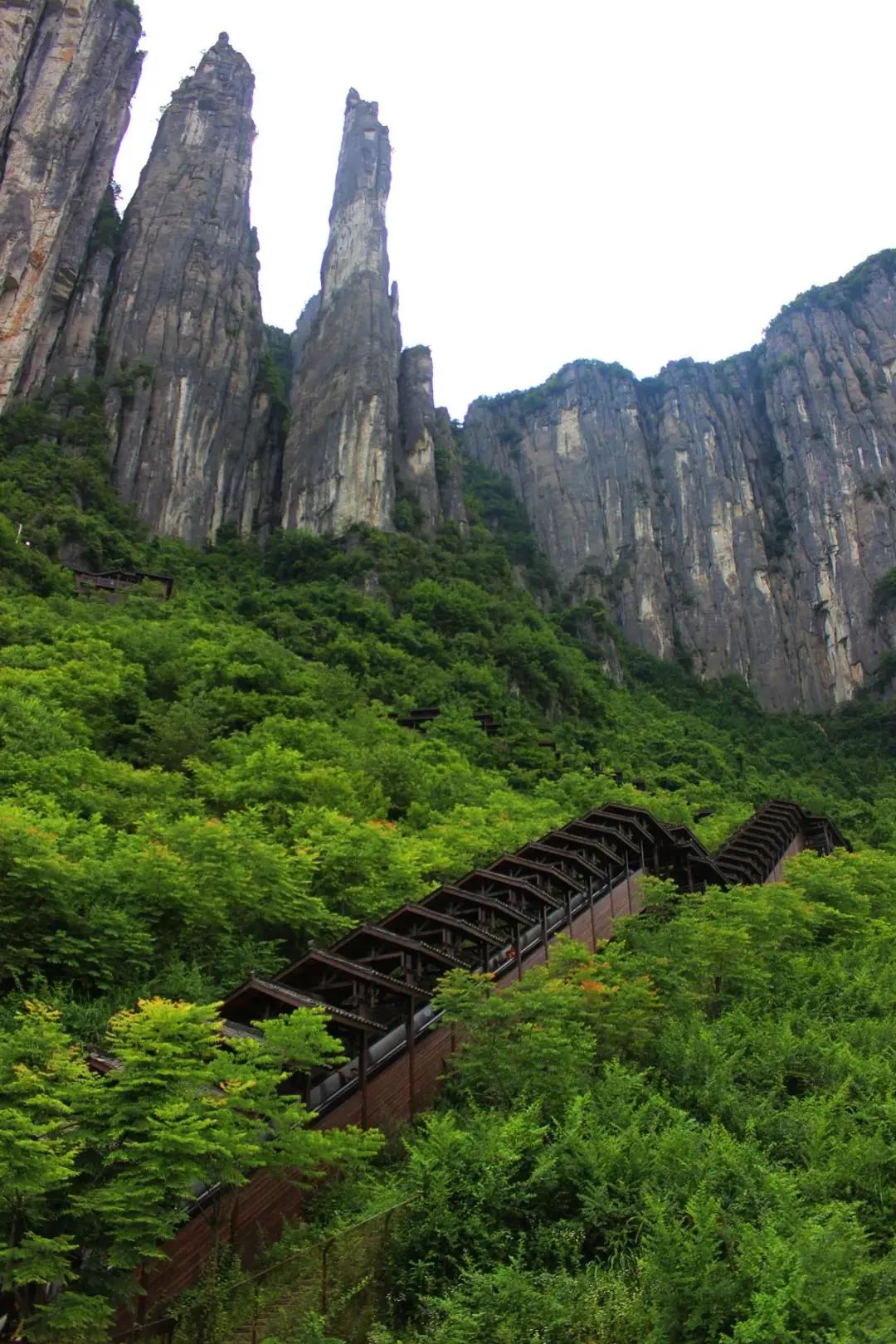 大峡谷富硒茶价格多少钱