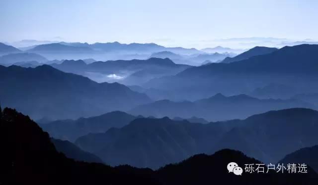 石台县仙寓山富硒野生茶