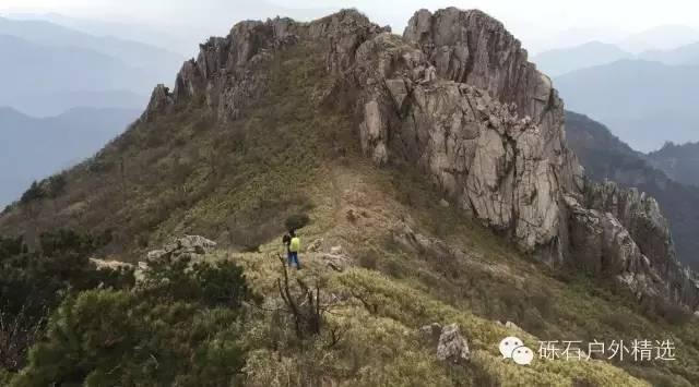 石台县仙寓山富硒野生茶