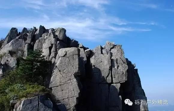 石台县仙寓山富硒野生茶