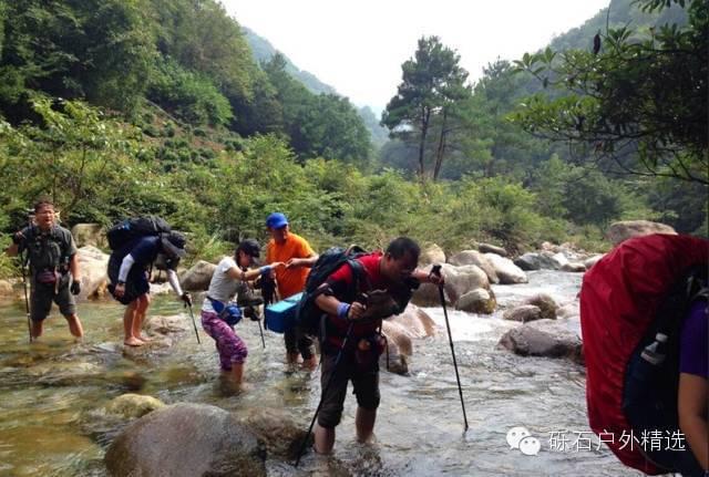 石台县仙寓山富硒野生茶