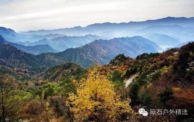 石台县仙寓山富硒野生茶