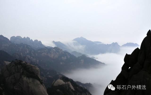 石台县仙寓山富硒野生茶