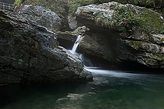 石台县仙寓山富硒野生茶