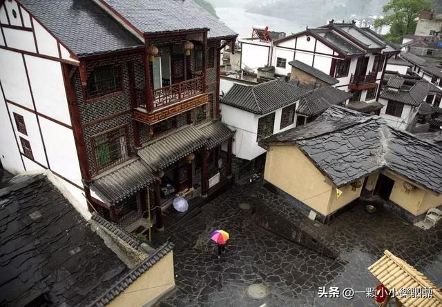 焕古茶叶紫阳富硒茶一级