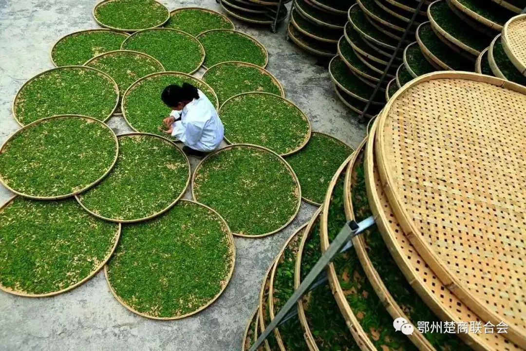 富硒茶冲泡多少次比较好