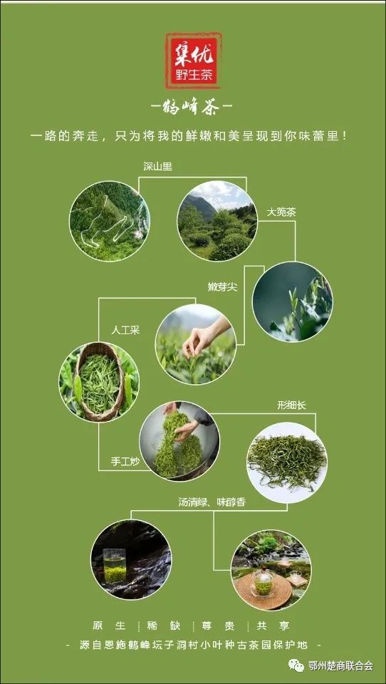 富硒茶冲泡多少次比较好