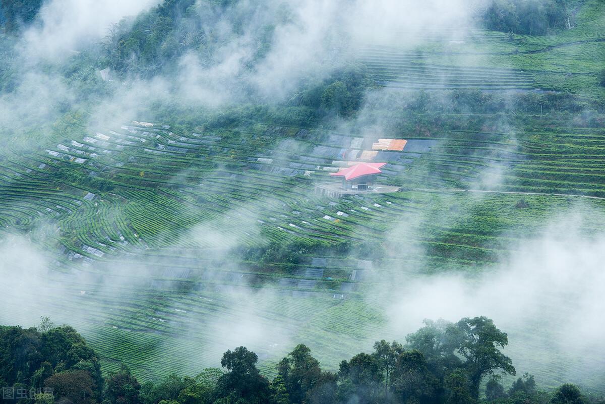 全国三大富硒茶区在哪里