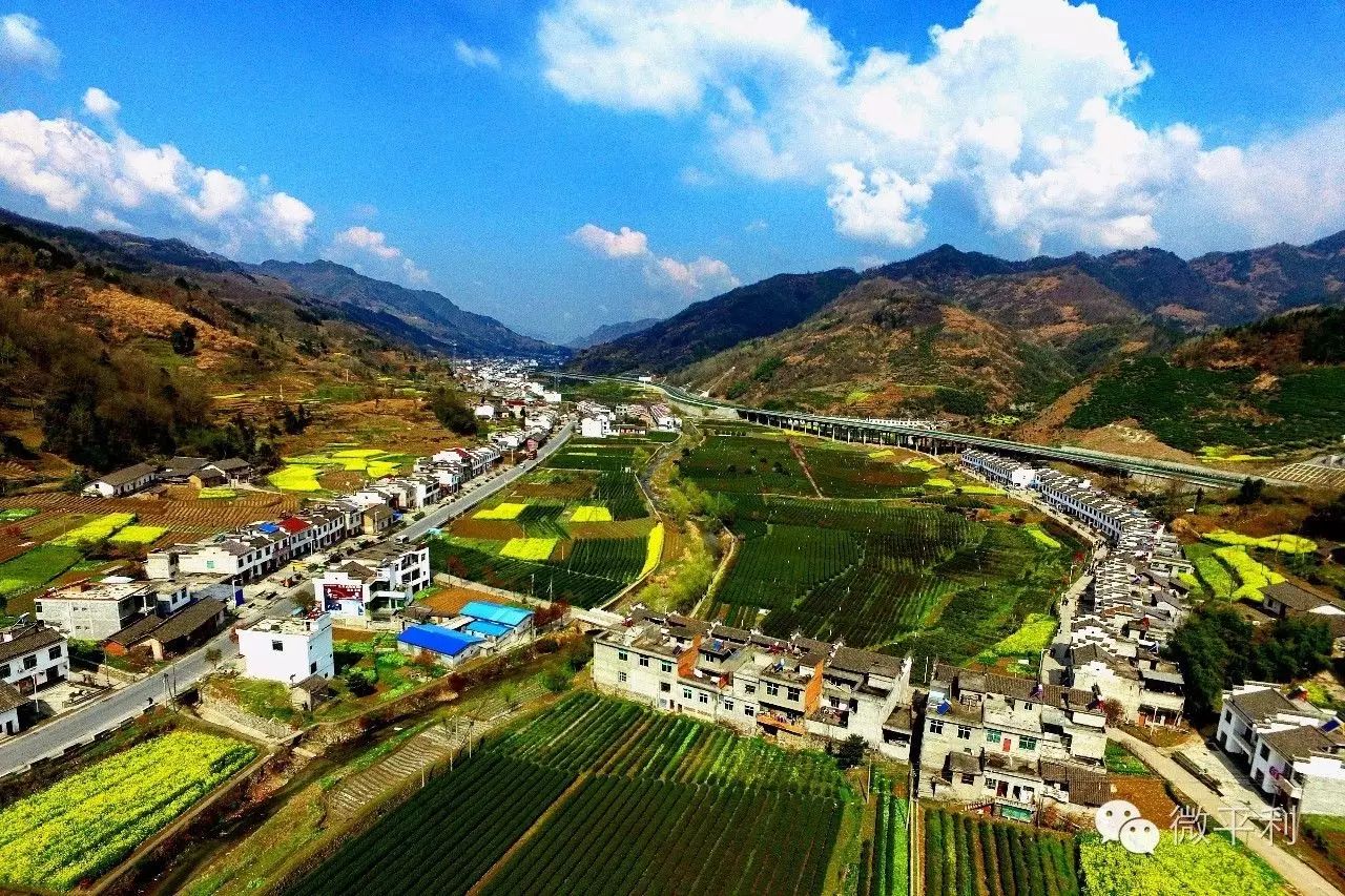 天津富硒八仙茶哪里有卖