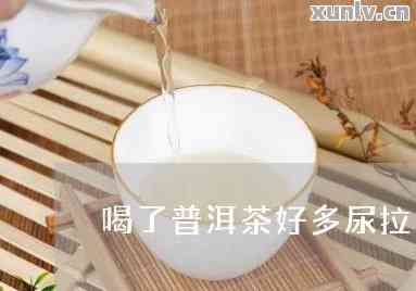 为何喝了普洱茶总是尿多？求解起因！