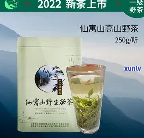 仙寓山野茶价格图片-仙寓山野茶好不好