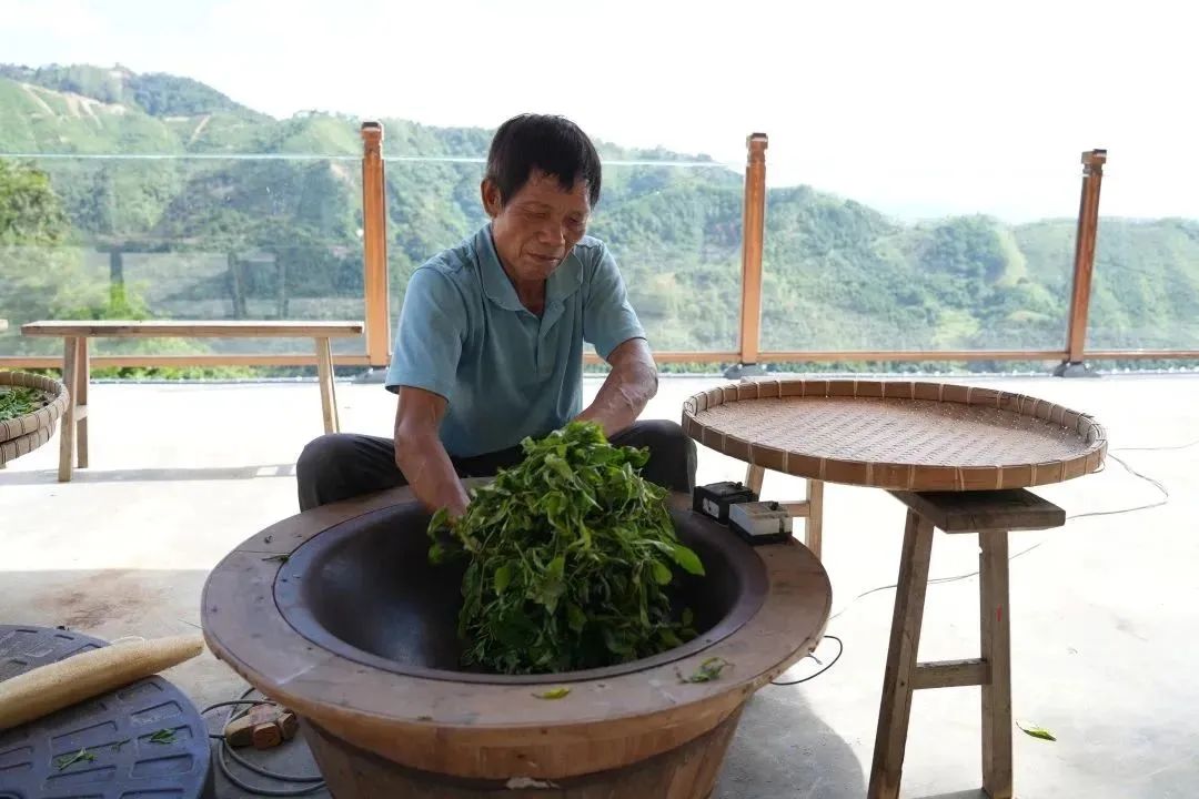 山西富硒八仙茶加工厂家