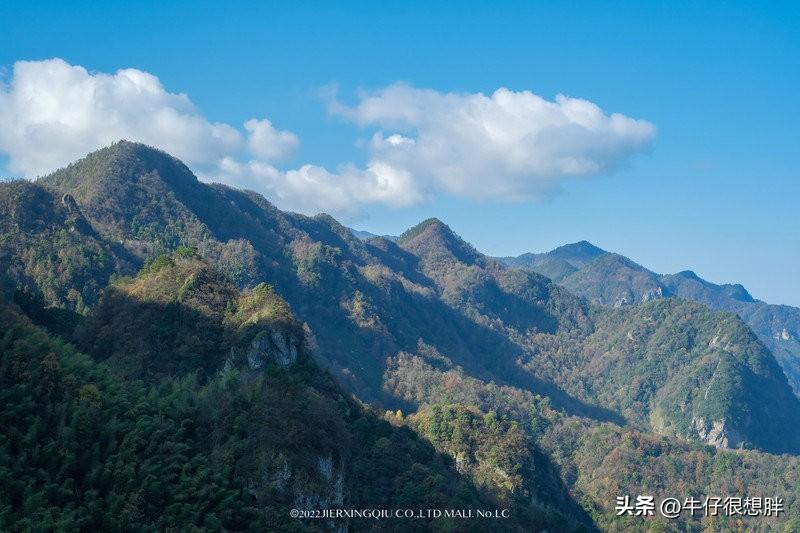 富硒仙寓山野茶多钱一盒