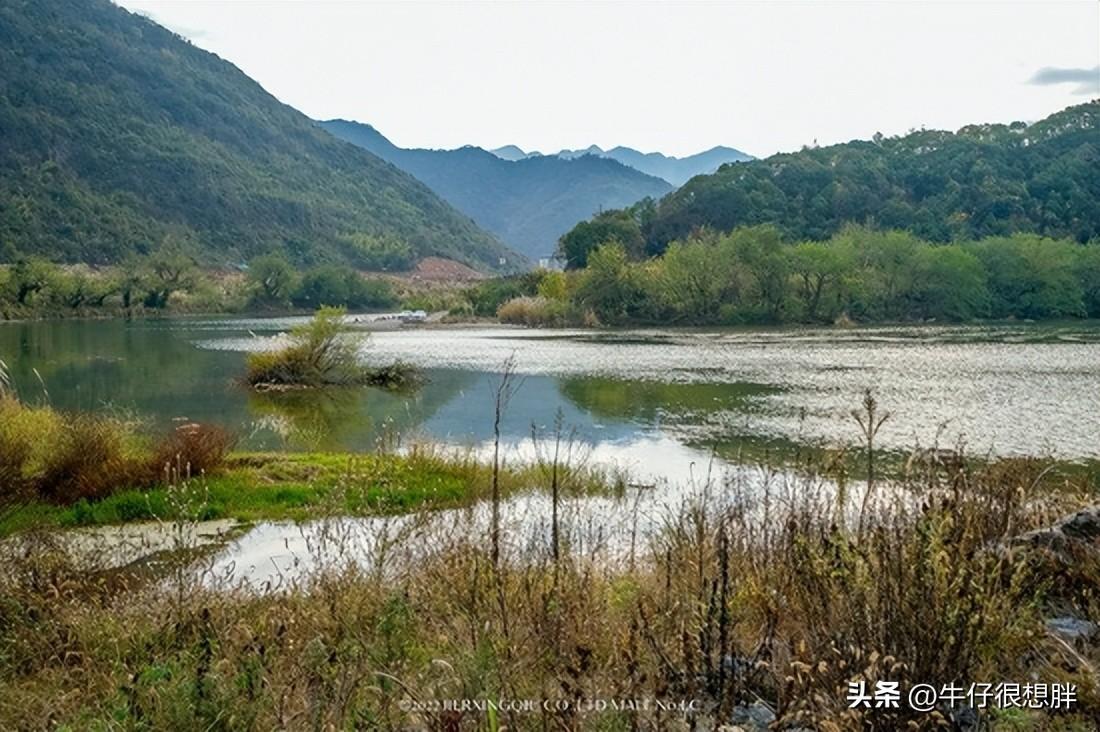 富硒仙寓山野茶多钱一盒