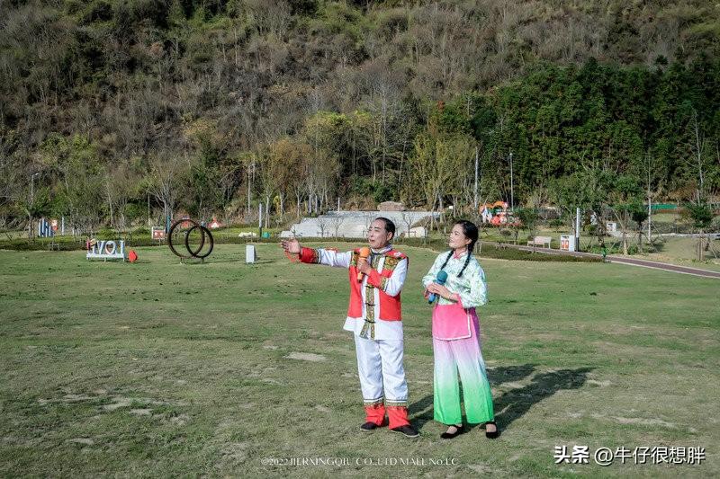 富硒仙寓山野茶多钱一盒