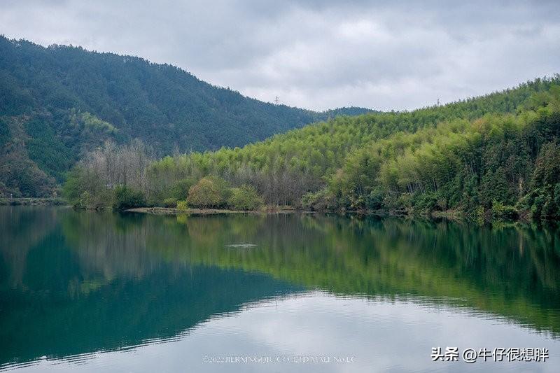 富硒仙寓山野茶多钱一盒