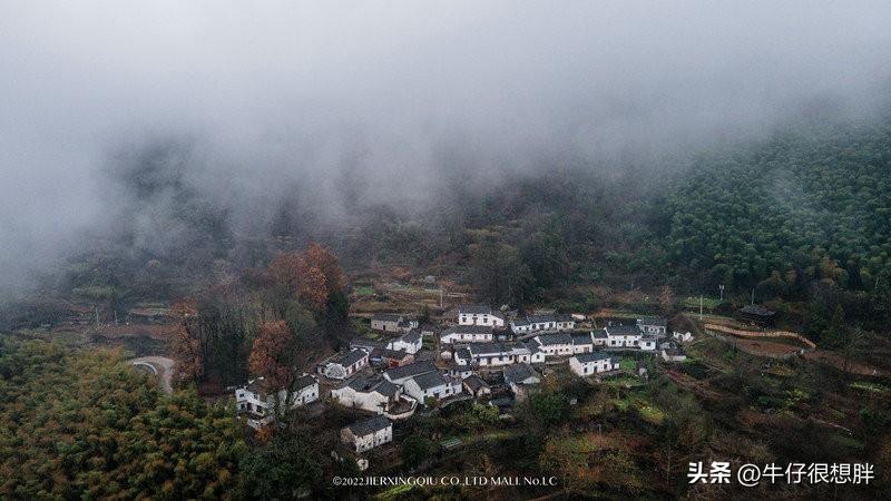 富硒仙寓山野茶多钱一盒