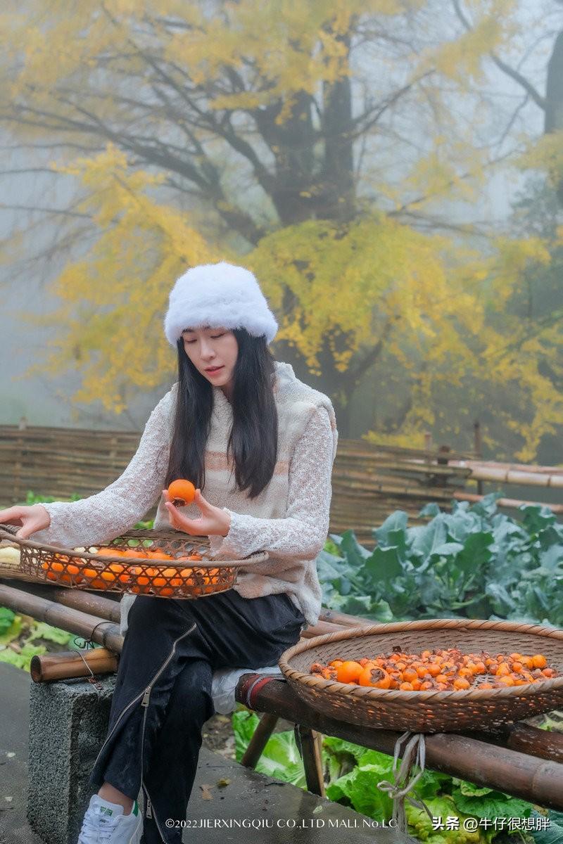 富硒仙寓山野茶多钱一盒