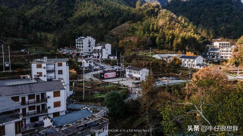 富硒仙寓山野茶多钱一盒