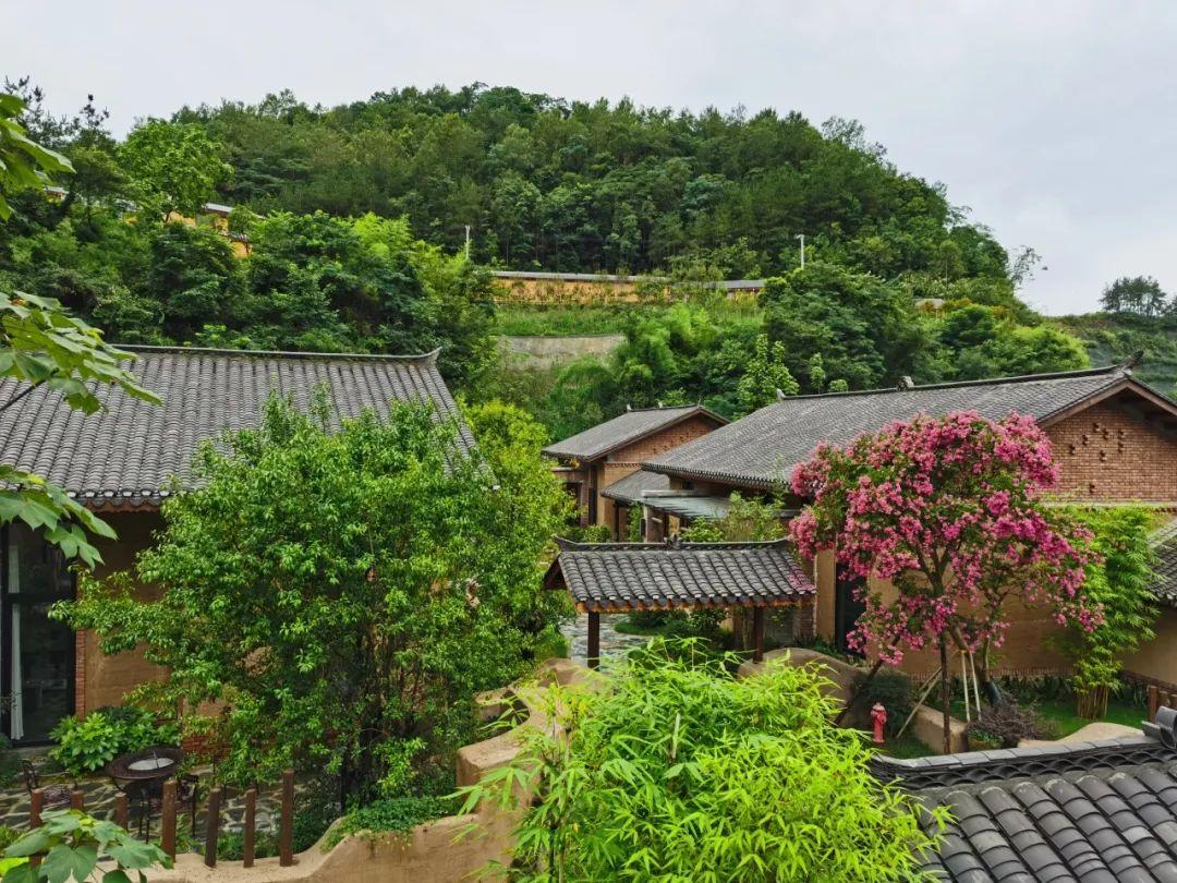 巴东野三关是富硒茶区吗