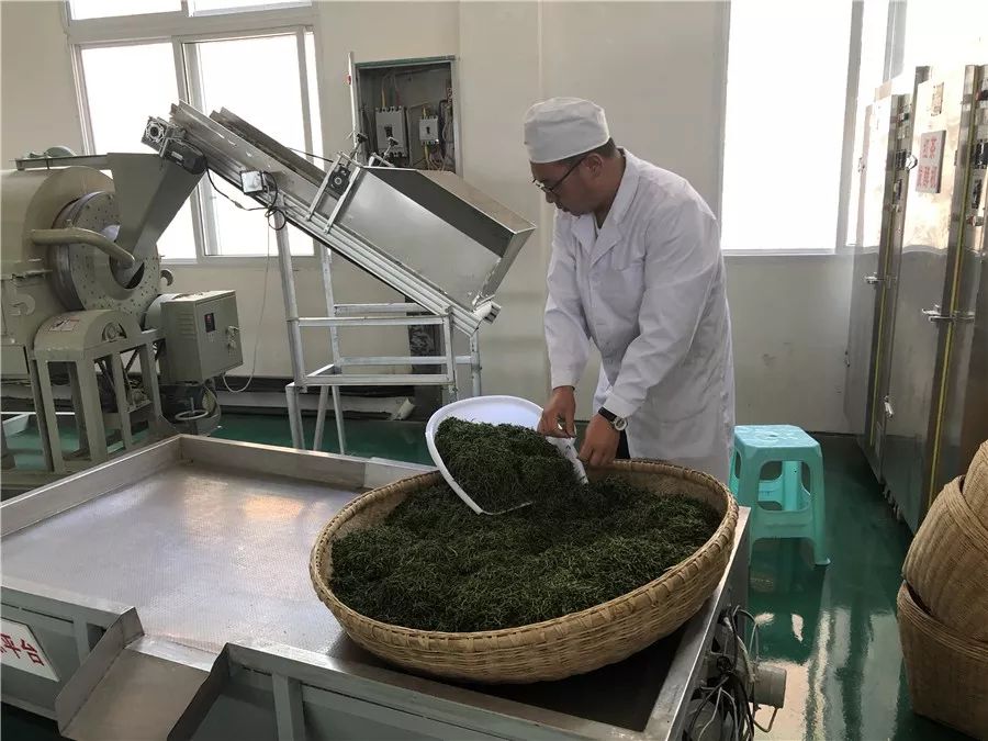 开阳县富硒茶多少钱一斤