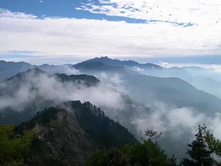 仙寓山富硒茶多少钱一盒