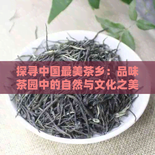 探寻中国最美茶乡：品味茶园中的自然与文化之美