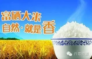 富硒大米什么时候开始吃