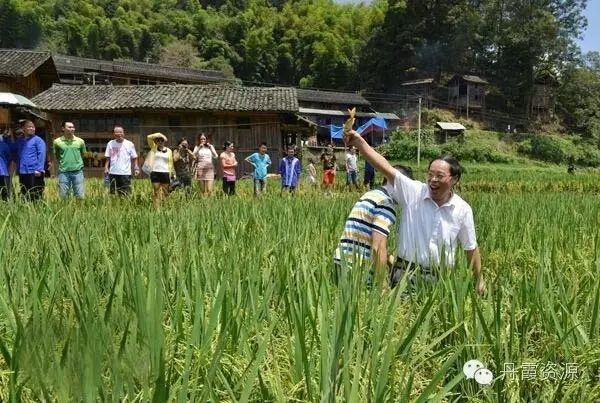 富硒大米什么时候开始吃